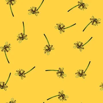 Pattern flower daffodil sketch hand drawn Stock Illustration