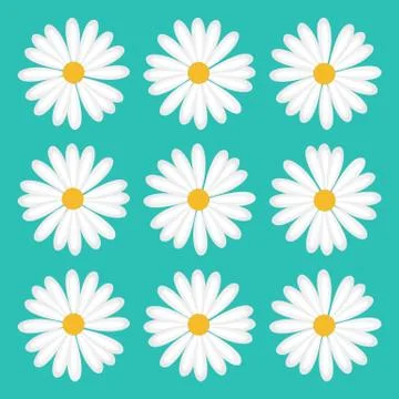 Pattern flower daisy 库存插图
