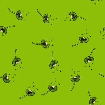 Pattern flower dandelion sketch hand drawn Stock Illustration