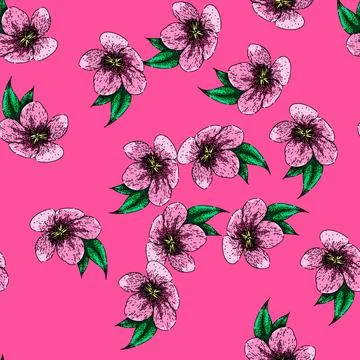 Pattern flower hellebore sketch hand drawn Stock Illustration