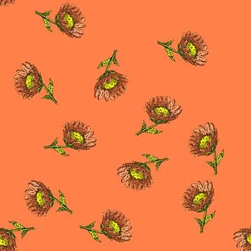 Pattern flower honey sketch hand drawn Stock Illustration
