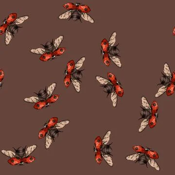 Pattern flower ladybug sketch hand drawn Stock Illustration