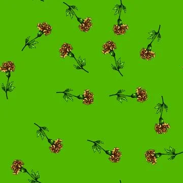 Pattern flower marigold sketch hand drawn Stock Illustration