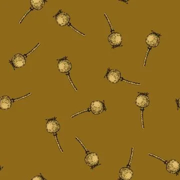 Pattern flower poppy sketch hand drawn Stock Illustration