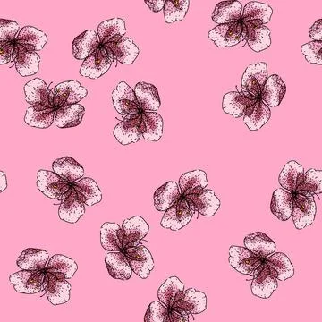 Pattern flower sakura sketch hand drawn Stock Illustration
