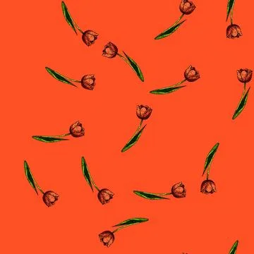 Pattern flower tulip sketch hand drawn Illustrazione stock