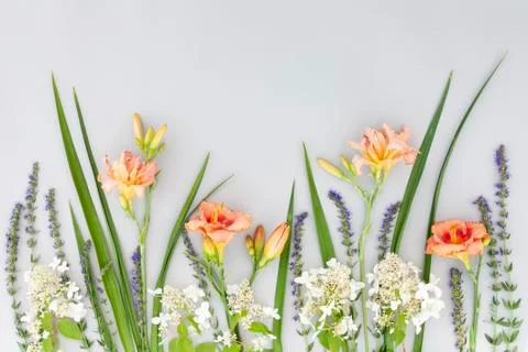 Pattern with flowers and herbs on grey paper Foto stock