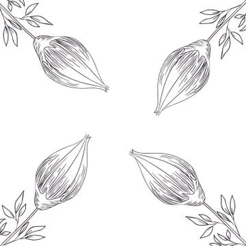 Pattern flowers and leafs isolated icon イラスト素材