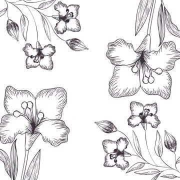 Pattern flowers and leafs isolated icon 스톡 일러스트