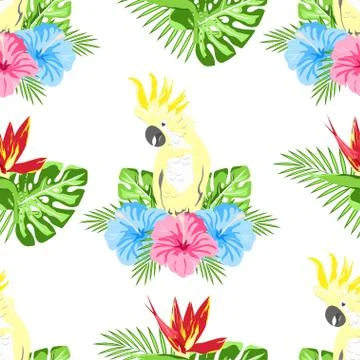 Pattern with flowers and parrot 스톡 일러스트