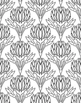 Pattern with flowers of clover. Stock Illustration
