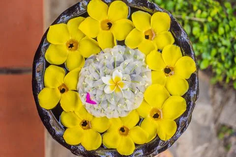 A pattern of flowers in a container with water, spa concept Stock Photos
