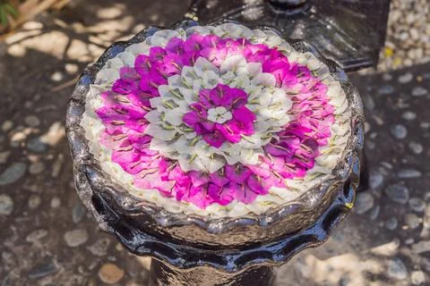 A pattern of flowers in a container with water, spa concept Stock Photos