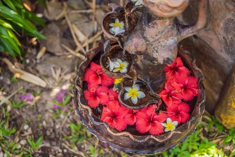 A pattern of flowers in a container with water, spa concept Stock Photos