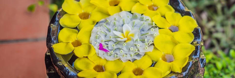 A pattern of flowers in a container with water, spa concept BANNER, LONG FORMAT Stock Photos