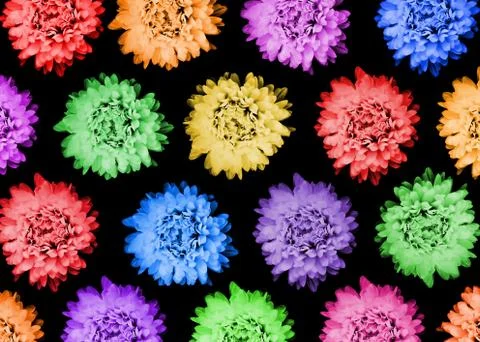 Pattern with flowers on dark background. Stock Illustration