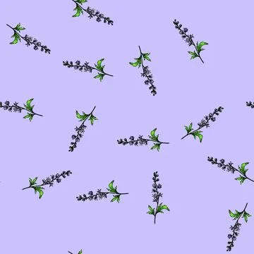 Pattern flowers delphinium sketch hand drawn Stock Illustration