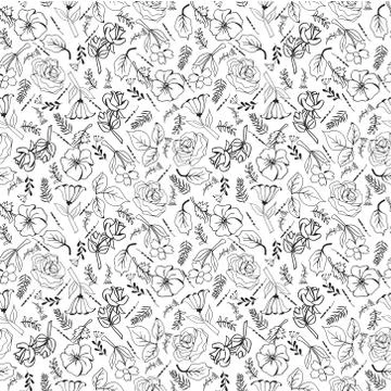 Pattern of flowers hand-drawing collection black and white flowers and plants Illustrazione stock