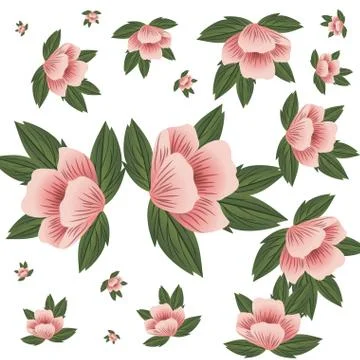 Pattern flowers with leafs isolated icon Stock Illustration