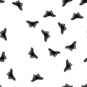 Pattern fly butterfly cartoon vector Stock Illustration