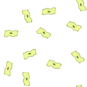 Pattern fly cash cartoon vector Illustrazione stock