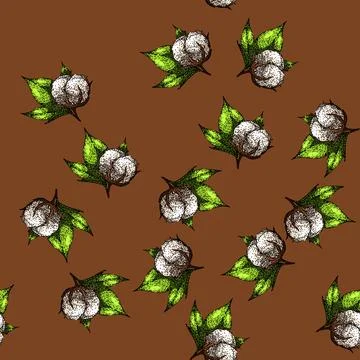 Pattern fly cotton plant sketch hand drawn Stock Illustration