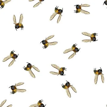 Pattern Flying bee cartoon character creating honey Stock Illustration