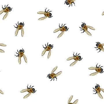Pattern Flying bee cartoon drawing イラスト素材