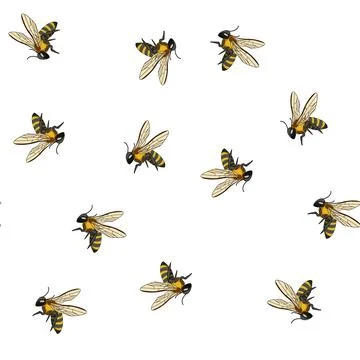 Pattern Flying bee creating honey and pollinating flowers Stock Illustration