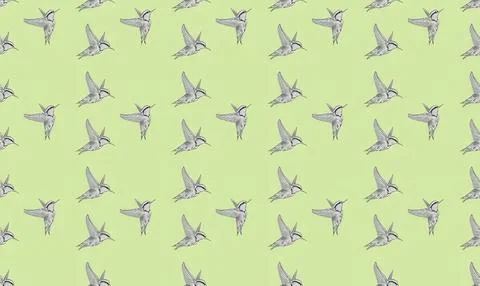 Pattern of flying hummingbirds on a light green background Stock Illustration