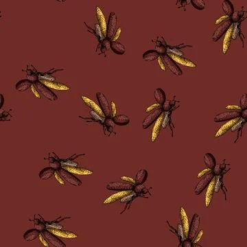 Pattern Flying scarab beetle insect sketch drawing illustration Stock Illustration