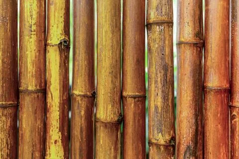 Pattern folded from a vertical bamboo trunk knotted background light beige de Stock Photos