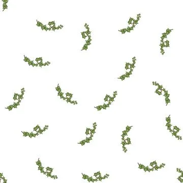 Pattern foliage green ivy cartoon vector Illustrazione stock