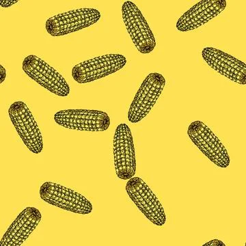 Pattern food corn sketch hand drawn 스톡 일러스트