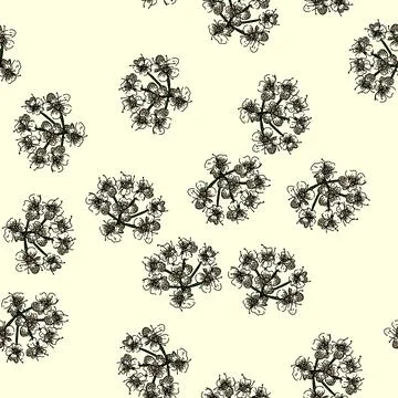 Pattern food cumin sketch hand drawn Illustrazione stock