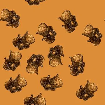 Pattern food dried fruit sketch hand drawn Stock Illustration