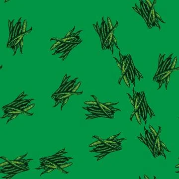 Pattern food geen beans sketch hand drawn 库存插图