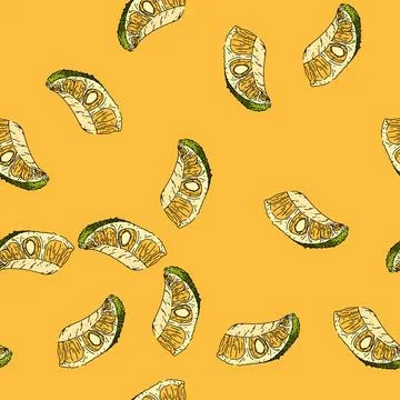 Pattern food jackfruit sketch hand drawn 스톡 일러스트