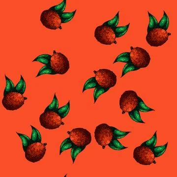 Pattern food lychees sketch hand drawn Stock Illustration