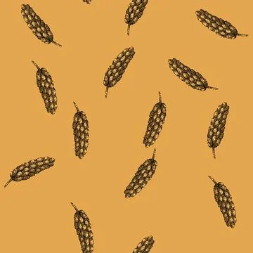 Pattern food millet sketch hand drawn Stock Illustration