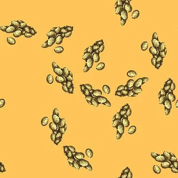 Pattern food pine nut sketch hand drawn Stock Illustration