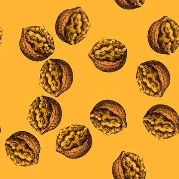 Pattern food walnut sketch hand drawn イラスト素材