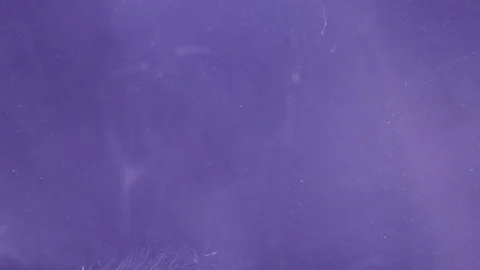 Pattern 動画素材 117337402