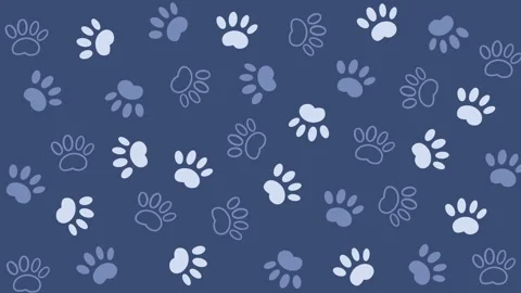 Pattern with footprints, abstract blue background for pet store websites. Looped Stock Footage 306132778