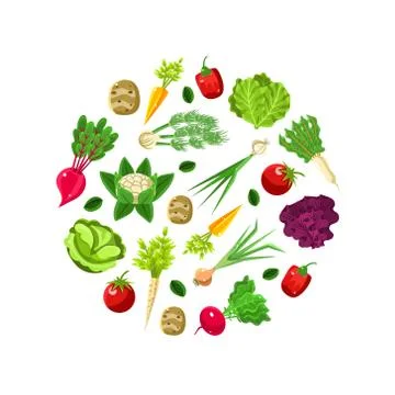 Pattern in the form of a circle of roots. Vector illustration on a white Stock Illustration