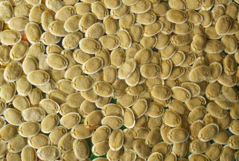 Pattern formed with multiple wild seeds. Foto stock