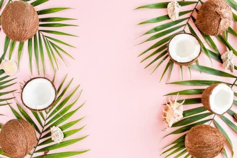 Pattern, frame borders with coconuts and tropical palm leaves on pink background Stock Photos