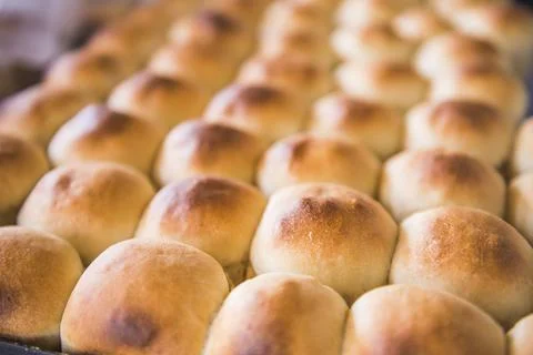 Pattern of fresh baked round bread rolls at a bakery, Mendoza, Mendoza Province, 写真素材