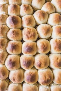 Pattern of fresh baked round bread rolls at a bakery, Mendoza, Mendoza Province, Stock Photos