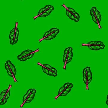 Pattern fresh chard sketch hand drawn Stock Illustration